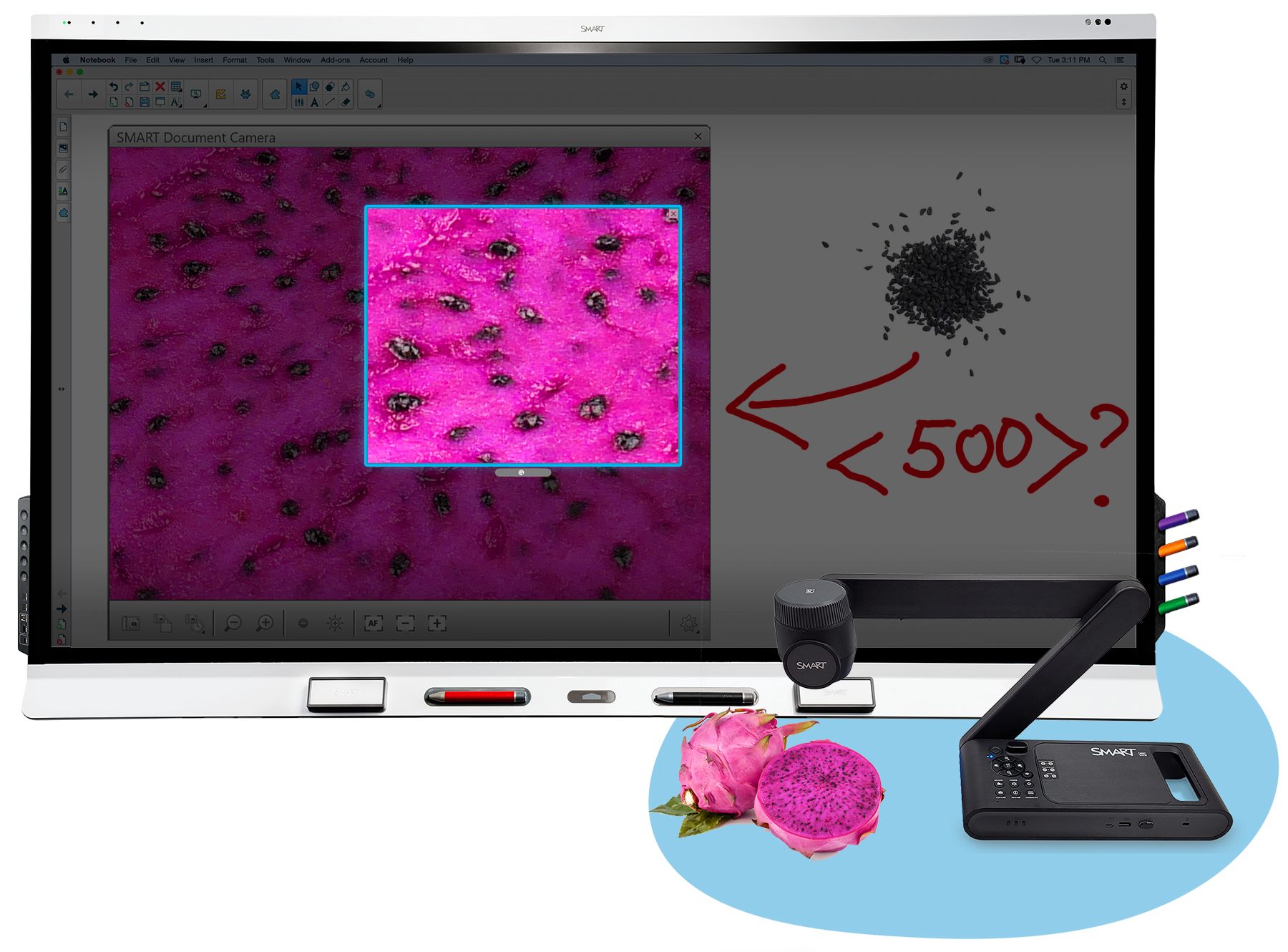 Classroom technology in action with a SMART Board illustrating less than 500 cells, promoting engaged learning.